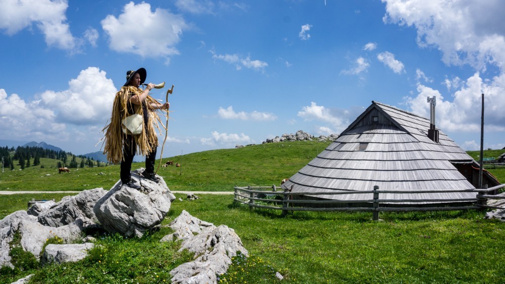 Pastir na Veliki planini.