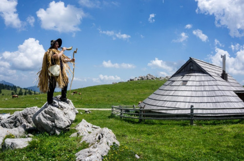 Pastir na Veliki planini.