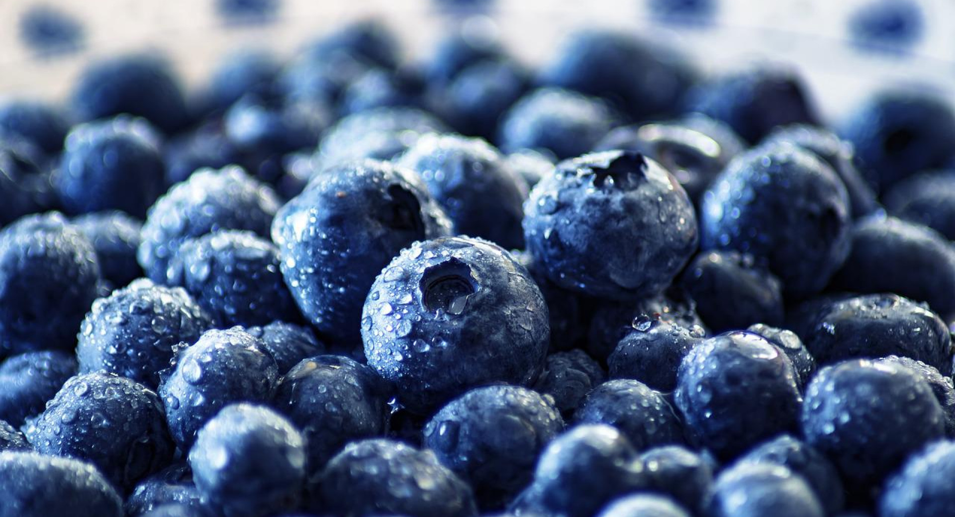 Close-up of blueberries with water droplets.