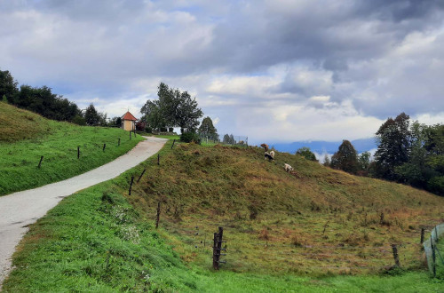 Pot na Šmarno goro mimo pašnika in kapelice.