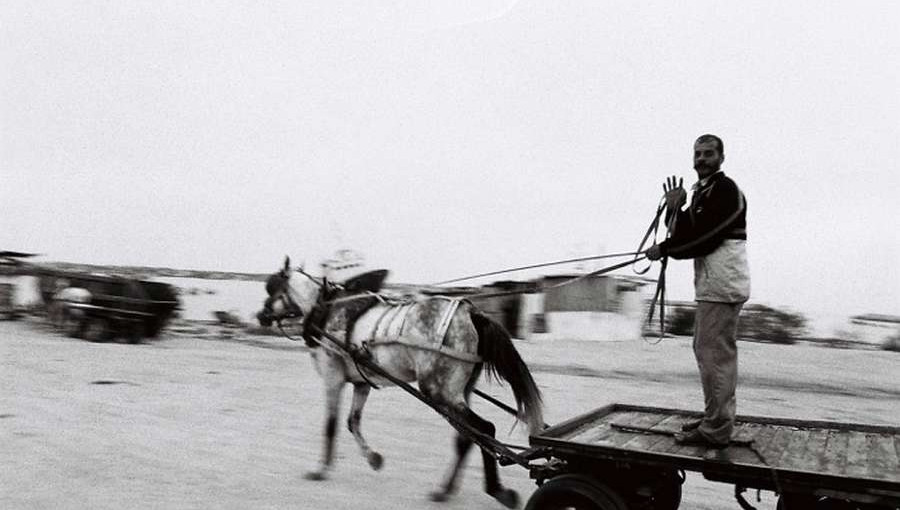 Black-and-white image of a man standing on a wagon, pulled by a horse.