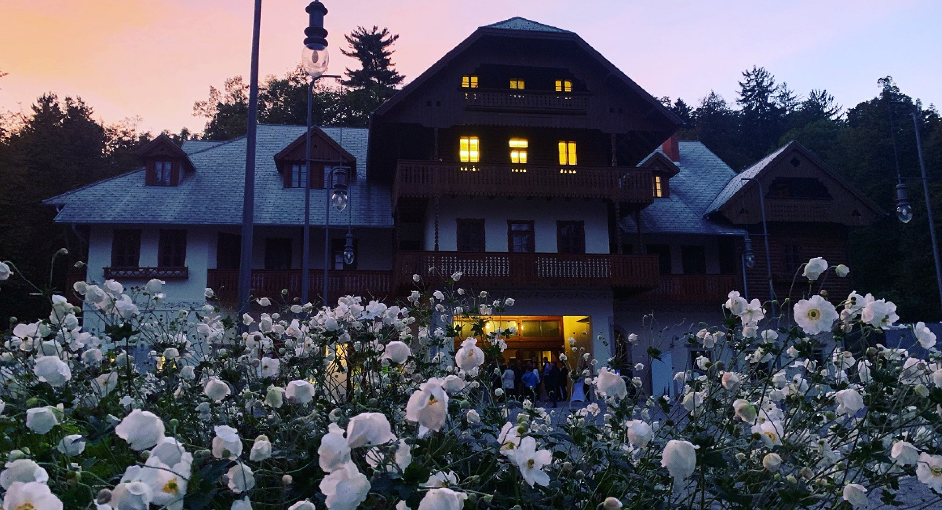 The front view of a large building, partly made of wood. Bushes of white flowers in front of it. Darkness. The windows on the building are illuminated.