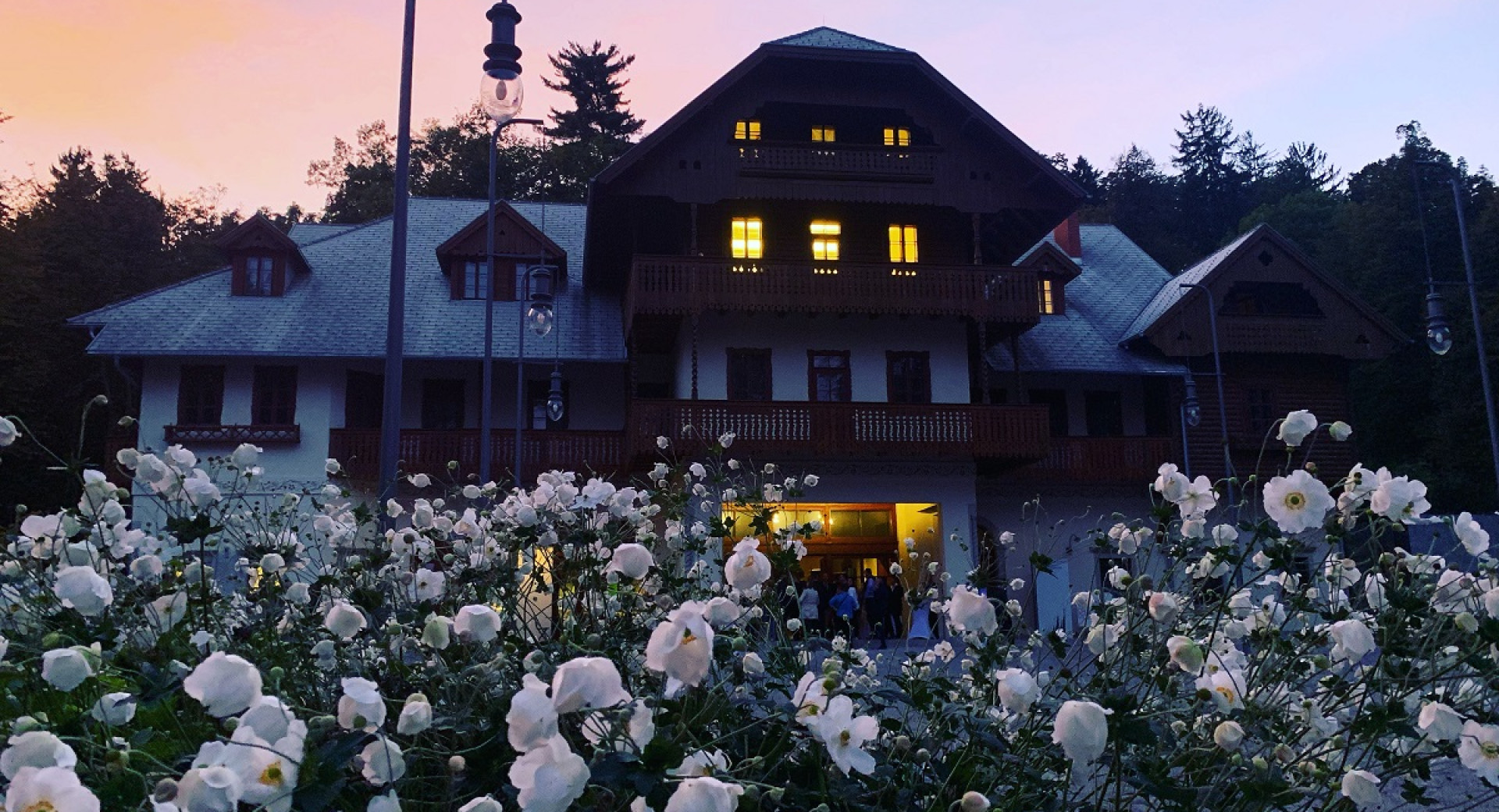 Procelje velike zgradbe, deloma iz lesa. Pred njo grmi belih roz. Tema. Razsvetljena okna.