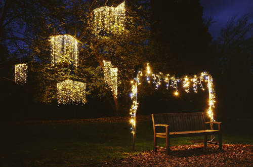 Večerni sprehod med lučkami v Arboretumu 2022_4