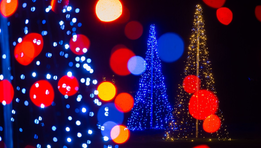 Red and blue christmas lights on Christmas tree installations.
