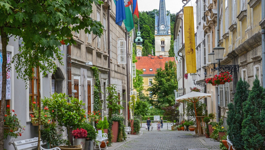 Zelena Ljubljana Dunja Wedam 2
