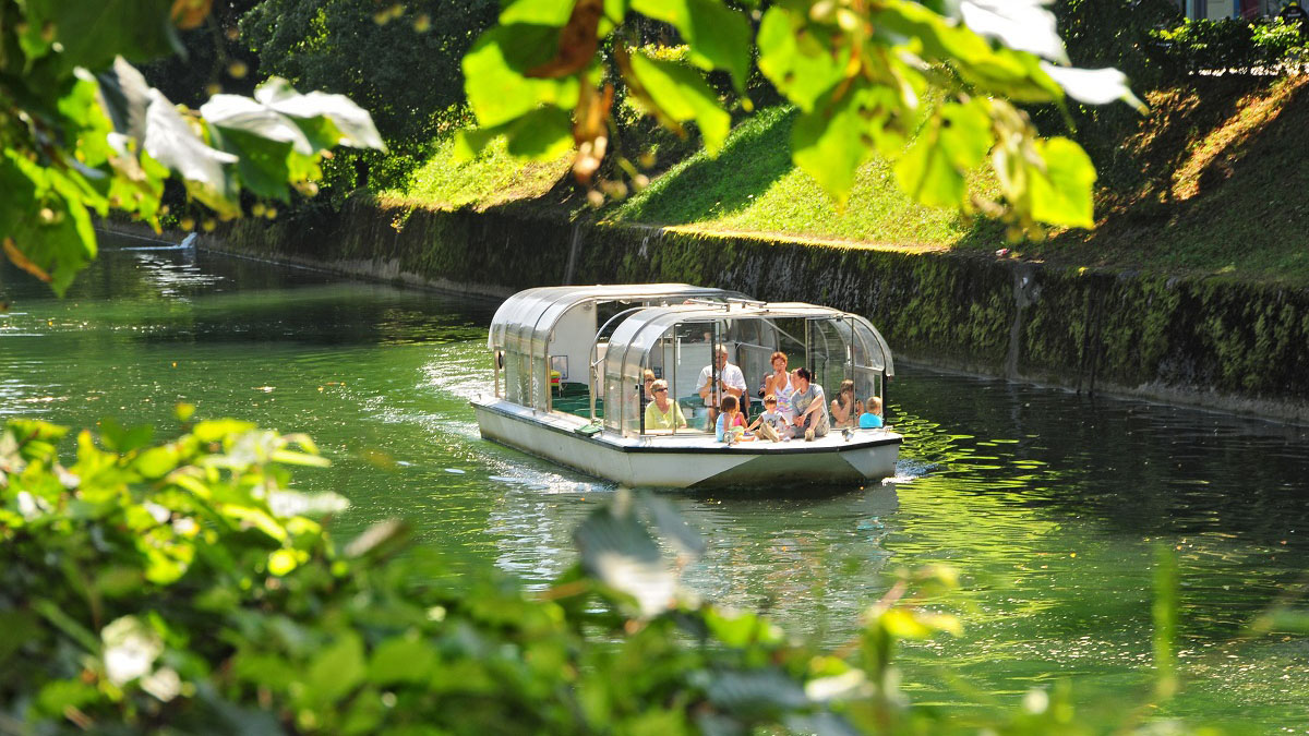 Turistična ladjica s turisti na Ljubljanici. V ospredju listi dreves.