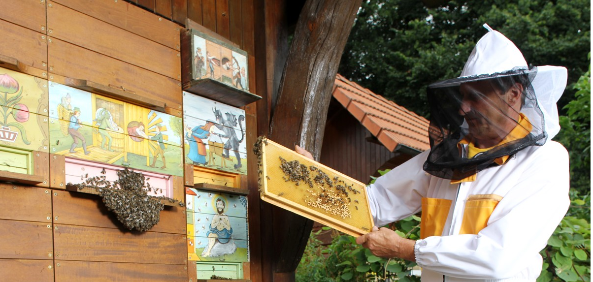 Beekeeping in Slovenia