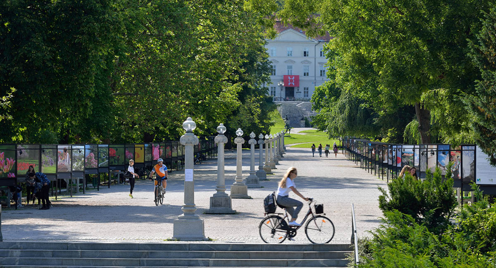 cycling miran kambic photo 2