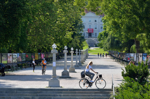 cycling miran kambic photo 2