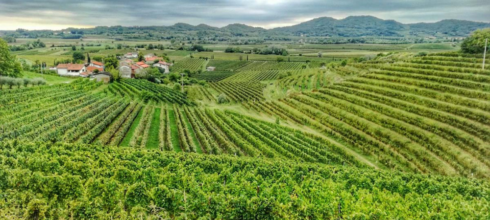 goriska brda slovenian wander