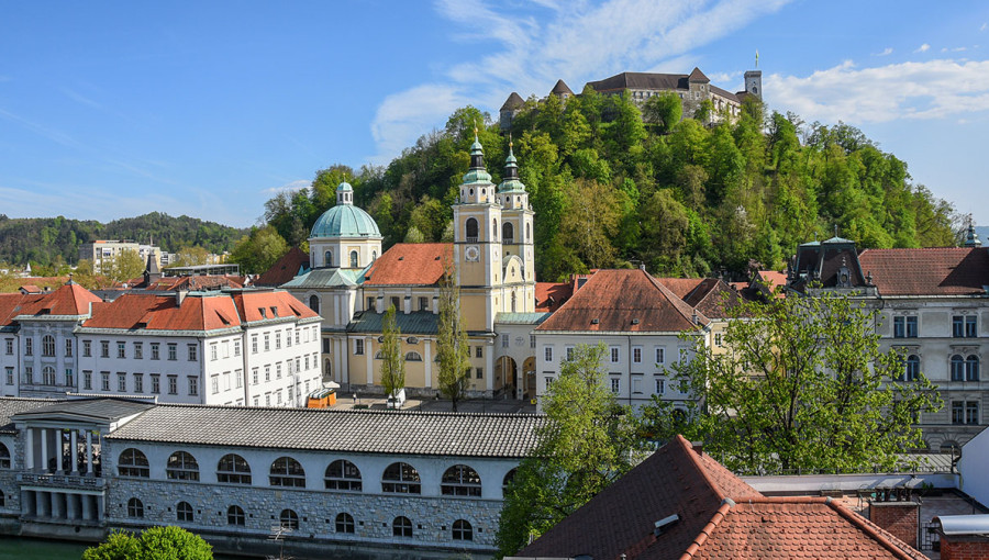 green ljubljana Dunja Wedam 3