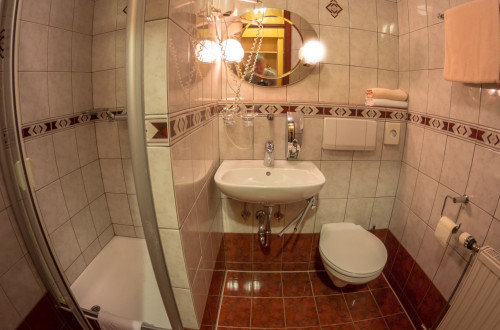 Kopalnica s tuš kabino, WC školjko in umivalnikom. 
