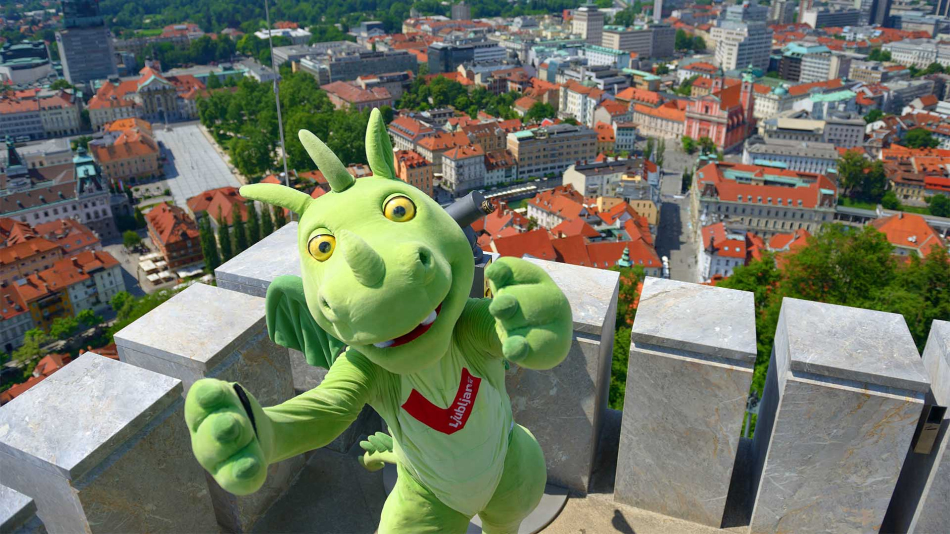 main photo mankica kranjec nea culpa