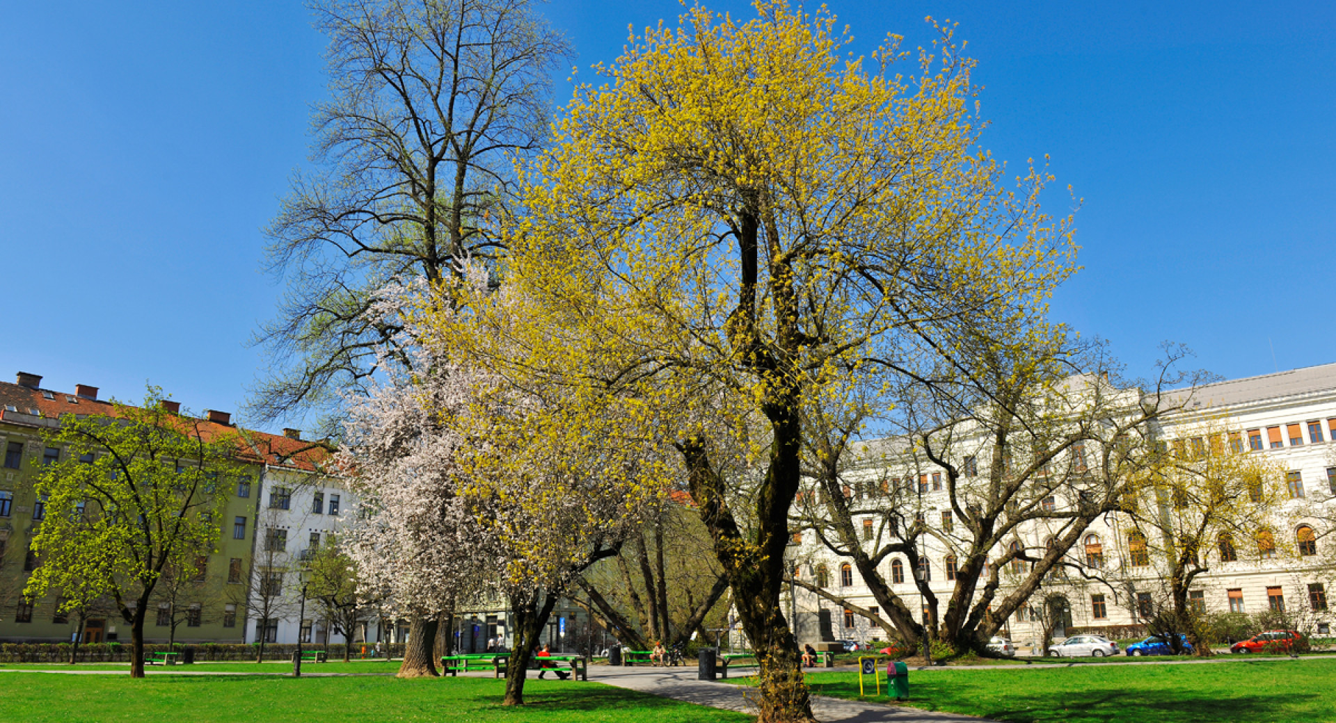 mikloiev park