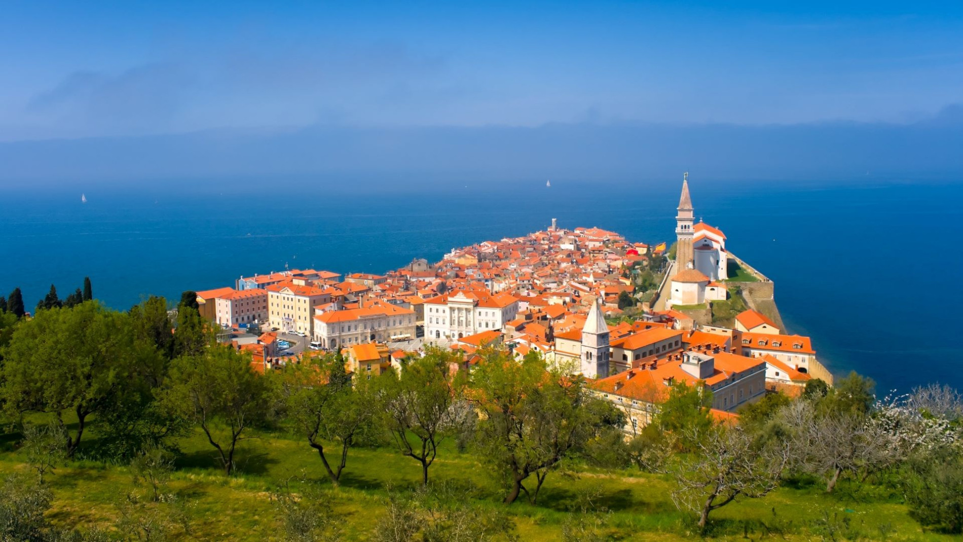 piran shutterstock4