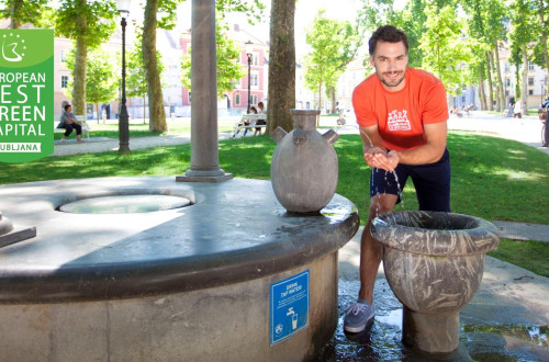 pitnik 2015 Nea Culpa3