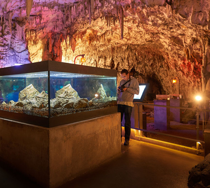 Il Vivaio delle Grotte di Postumia.