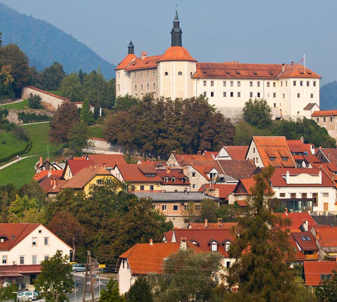 A castle on a hill with a town below.