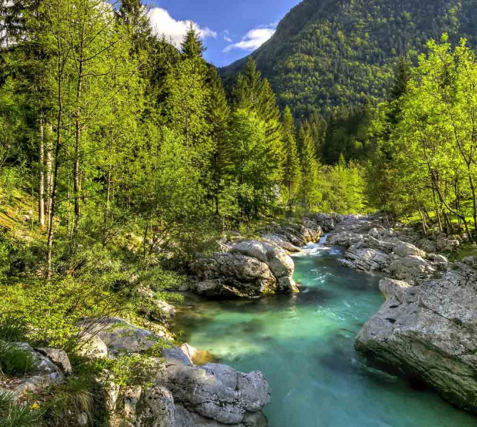 Čudovit pogled na kristalno čisto reko Sočo, ki teče čez skale skozi gost zelen gozd pod obsijanim gorskim vrhom.