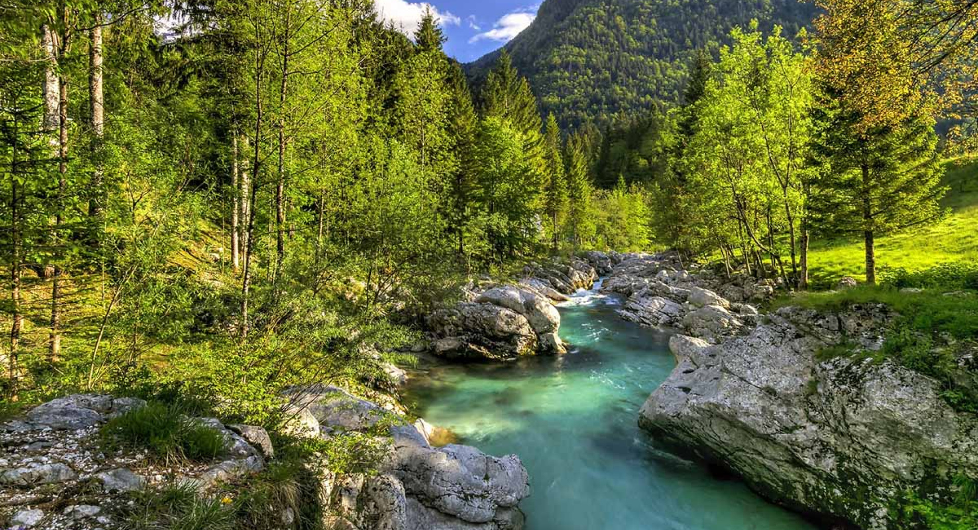 Smaragdna reka obdana z gozdom. 