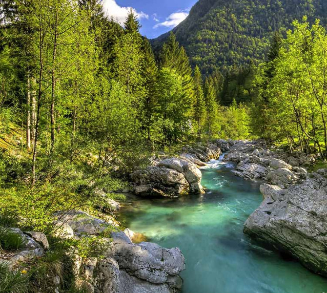 An emerald river surrounded by a forest.