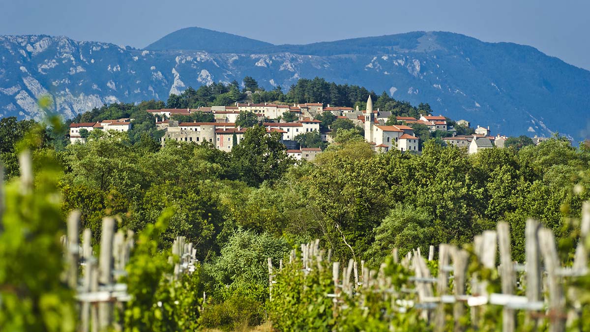stanjel na krasu marijan mocivnik