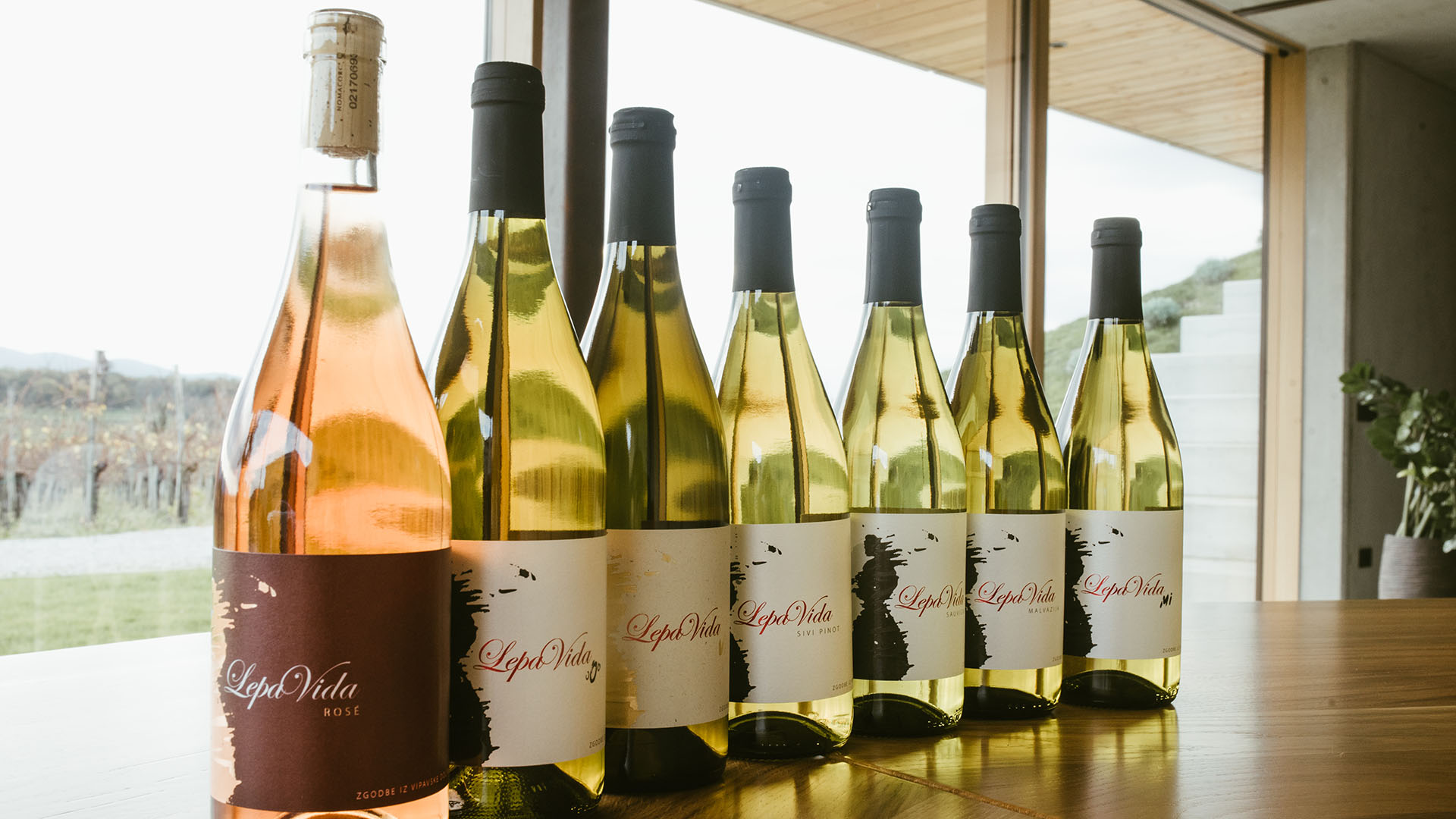 The greatest wine tasting experience in Slovenia » Visit Ljubljana