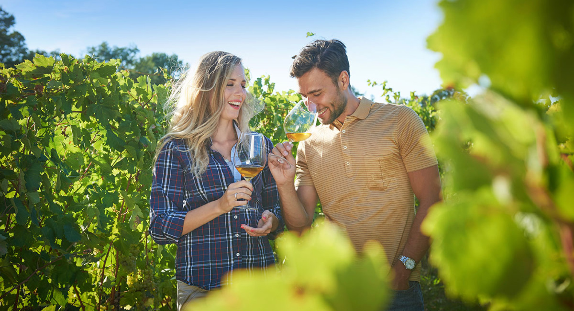 Man and woman tasting wine in a vineyard.