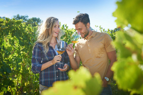 Man and woman tasting wine in a vineyard.