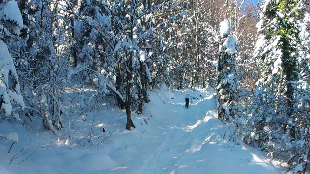 winter hiking krim around ljubljana