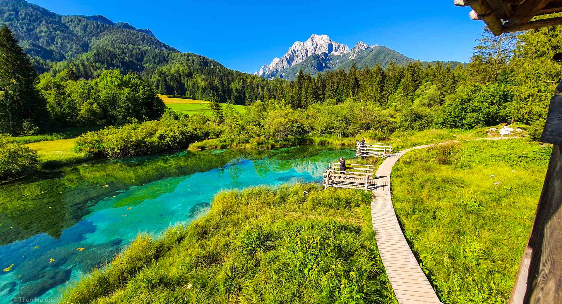 Emerald water in the nature and mountains in a distance.