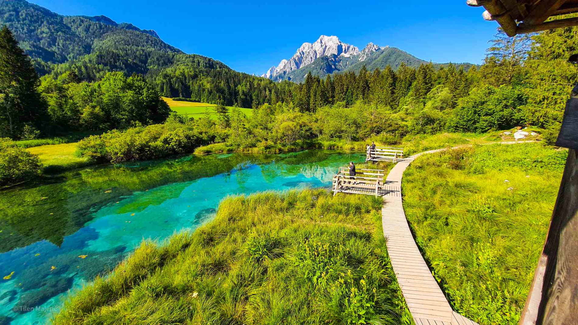 Emerald water in the nature and mountains in a distance.