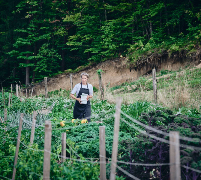 A female chef wearing an apron carrying containers through a vegetable garden by the forest.