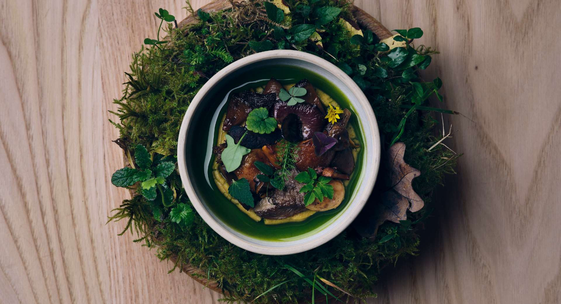 Aesthetically prepared dish of wild mushrooms, herbs, and green oil in a bowl, placed on an arrangement of moss and leaves.