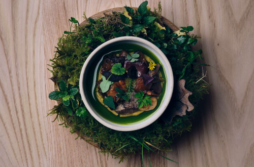 Aesthetically prepared dish of wild mushrooms, herbs, and green oil in a bowl, placed on an arrangement of moss and leaves.