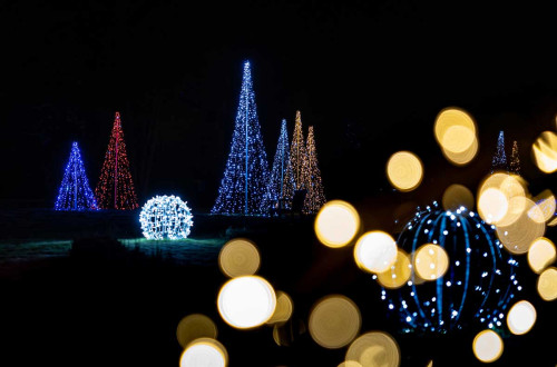 Praznicne lucke razlicnih oblik in barv sijejo v temi.